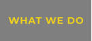 WHAT WE DO